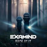 Cover: Examind - Back At It