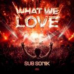 Cover: Sub Sonik - What We Love