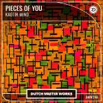 Cover: Dropgun Samples: Future House by Rhannes - Pieces Of You