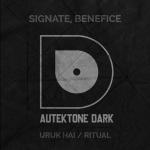 Cover: Signate - Uruk Hai