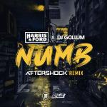 Cover: Harris & Ford & DJ Gollum - Numb (Aftershock Remix)