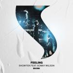 Cover: Showtek - Feeling