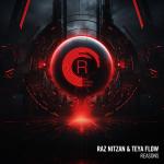 Cover: Raz Nitzan - Reasons