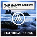 Cover: Pralle - On Your Shore