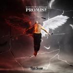 Cover: Revealer - Promise