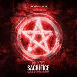 Cover: Darkest Dungeon - Sacrifice (Code Crime Remix)