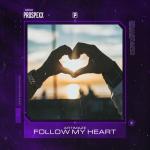 Cover: Artimaze - Follow My Heart