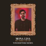 Cover: Will Sparks & Lost Boy - Mona Lisa (Toneshifterz Remix)