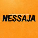 Cover: Eternate &amp; Adronity &amp; TNYA - Nessaja