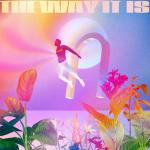 Cover: Vocal Hooks Pink Label - The Way It Is