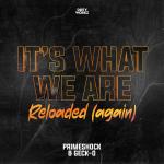 Cover: Geck-O - It's What We Are Reloaded (Again)