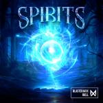 Cover: Blasterjaxx &amp; RIELL - Spirits