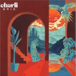 Cover: Charli Brix - Thirteen