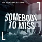 Cover: Pascal Letoublon &amp; David Puentez &amp; remme - Somebody To Miss