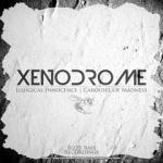 Cover: Xenodrome - Carousel Of Madness