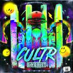 Cover: David Rust - Cultr