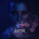 Cover: MAX - Turn It Up
