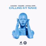 Cover: VAMERO - Calling My Name