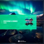 Cover: Steve Dekay & RONNIEE - Signs