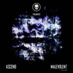 Cover: Ascend - My Answer