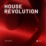 Cover: Low Blow - House Revolution