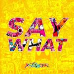 Cover: X-Pander - Say What