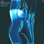 Cover: Fred V feat. Hybrid Minds & Lottie Jones - Faded Blue