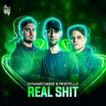 Cover: Dynamic - Real Shit