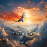 Cover: DCX - Flying High