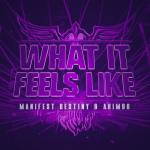 Cover: Akimbo - What It Feels Like