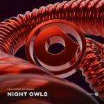 Cover: Leandro Da Silva - Night Owls