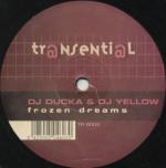 Cover: DJ Yellow - Frozen Dreams