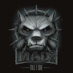 Cover: Mad Dog - XTC