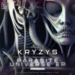 Cover: Kryzys - Oppression