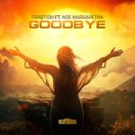 Cover: Fraqtion - Goodbye