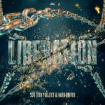 Cover: Sub Zero Project - Liberation