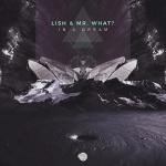 Cover: Lish & Mr.What? - In A Dream