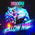 Cover: NIVIRO ft. SONJA - Follow Me
