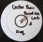 Cover: Vector Burn - Paradise Lost