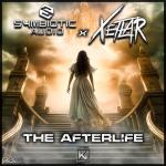 Cover: Symbiotic Audio - The Afterlife