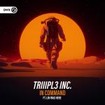 Cover: Lin was here - In Command