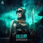 Cover: Vikings - Valkary