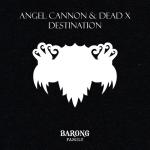 Cover: Angel - Destination