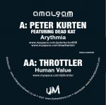 Cover: KAT - Arythmia