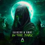 Cover: Guiberz - In The Dark
