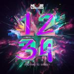 Cover: Never Surrender - 1234