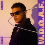 Cover: LNY TNZ - W.D.G.A.F.
