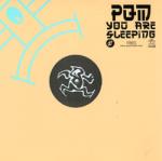Cover: PQM - You Are Sleeping