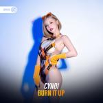 Cover: Cyndi - Burn It Up