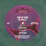 Cover: Sons Of Aliens - In Love With You